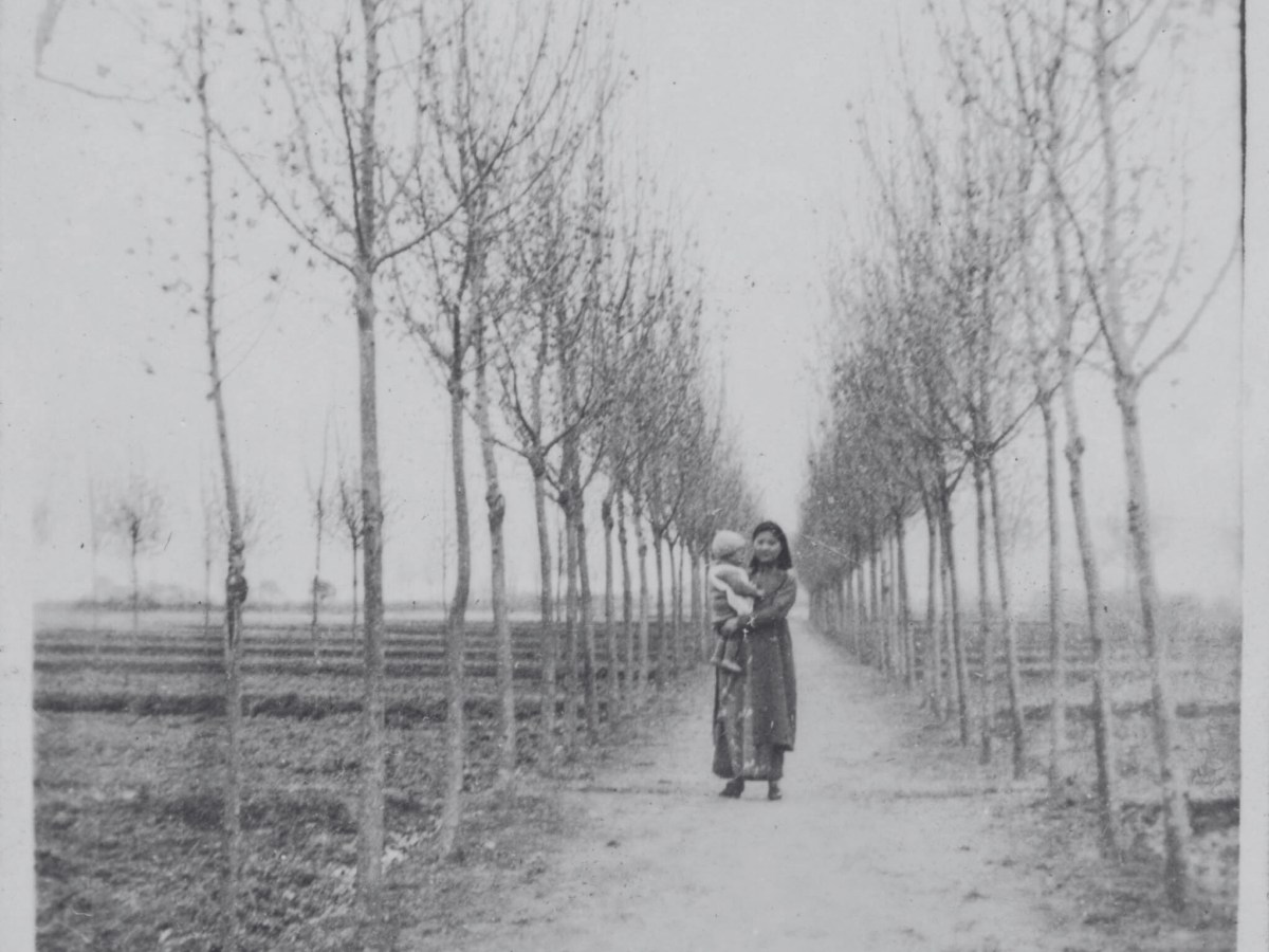 Tutte le cose&nbsp;belle